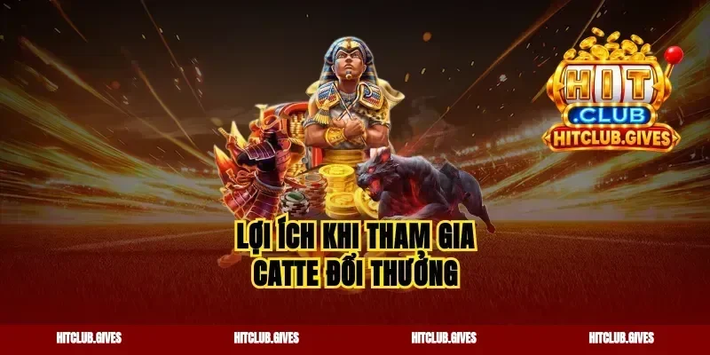 Lợi ích khi tham gia catte đổi thưởng