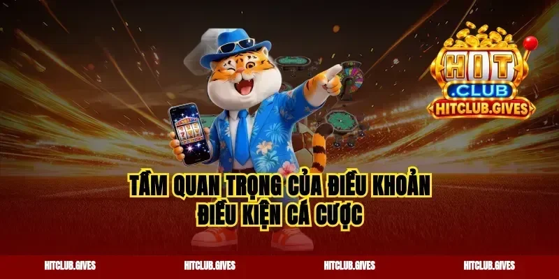 Tầm quan trọng của điều khoản điều kiện cá cược