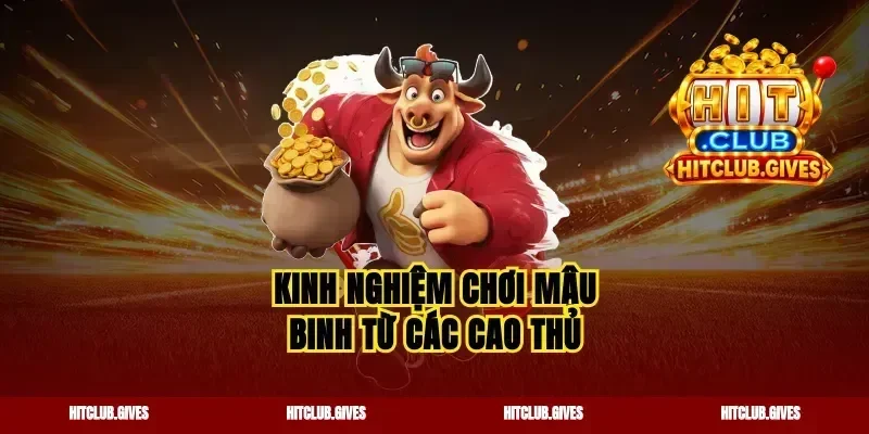 Kinh nghiệm chơi mậu binh từ các cao thủ