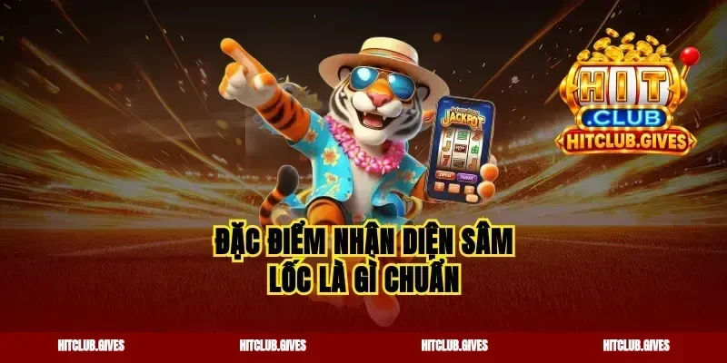 Đặc điểm nhận diện sâm lốc là gì chuẩn