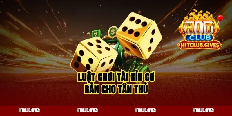 Luật chơi tài xỉu cơ bản cho tân thủ