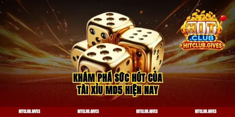 Khám phá sức hút của tài xỉu MD5 hiện nay